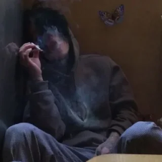 😼