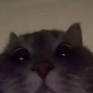 😃