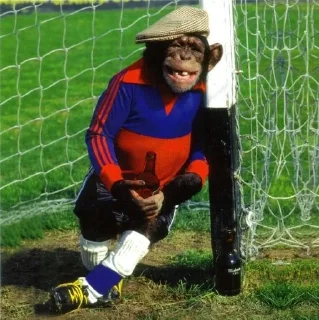 🐒