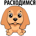 🐶