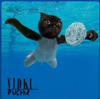 😎