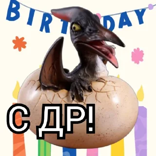 🎉