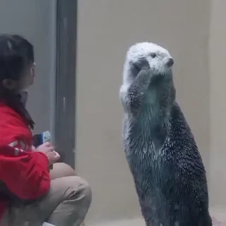 😱