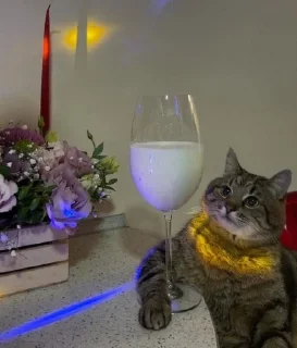 🎀