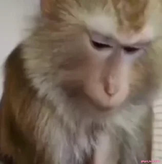 🥹