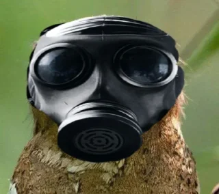 🪃
