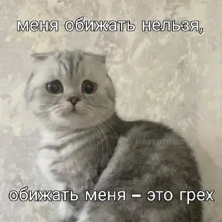😥