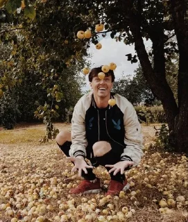 🍎