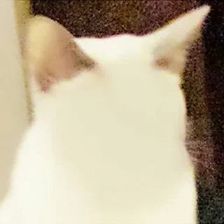 😶