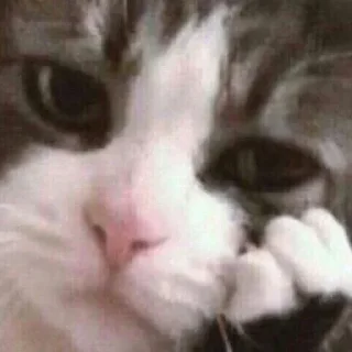 ☹️