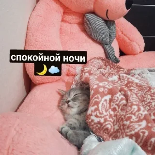 😴