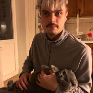 😿