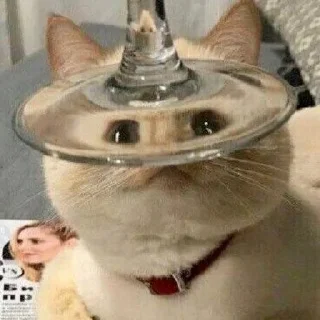 😌