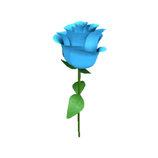 🌹