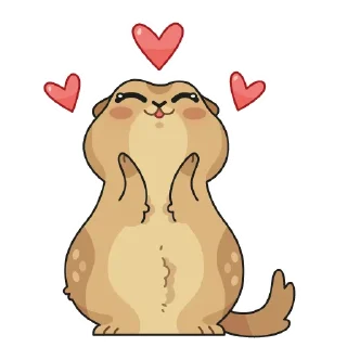 ❤️