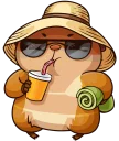 😎