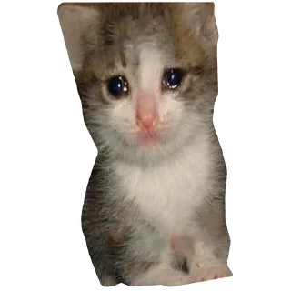 😢