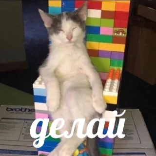 👑
