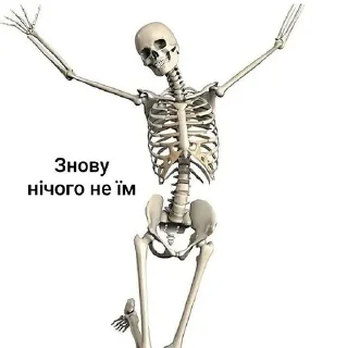🍗