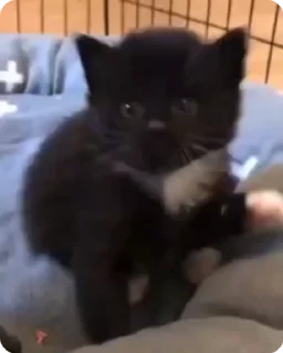 😊