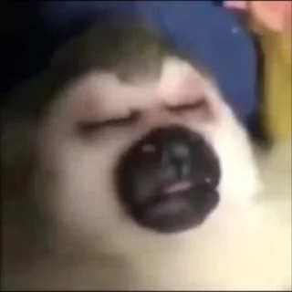 🛏