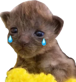 😢