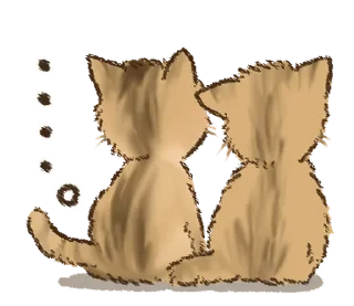 🐱