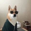 😎