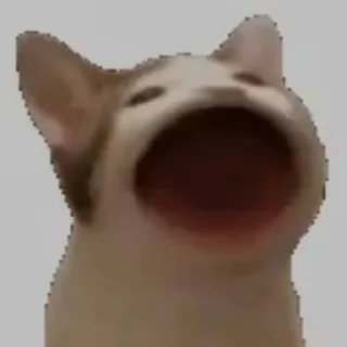 📢