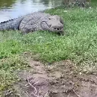 😃