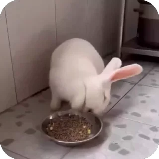 🤬