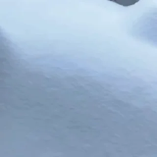 🤩