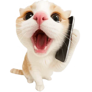 📱