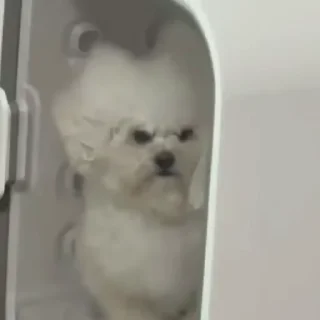 😠