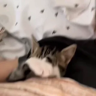 😴