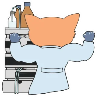 💪