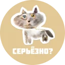 🤔