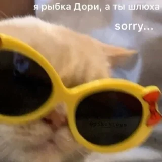 🐠
