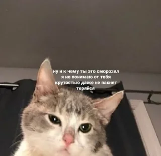 🤨