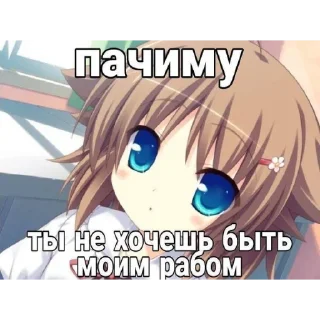 🌸