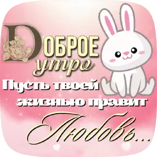 💖