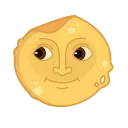 🌚