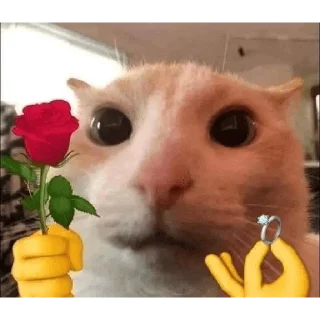 👹
