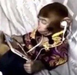 🎧