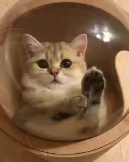 🥰