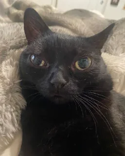 🤨