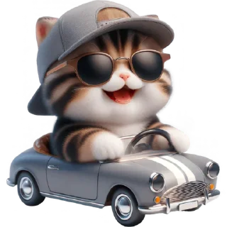 😎