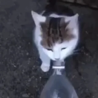 💧