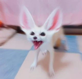😱