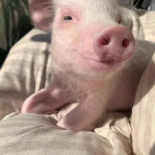 😊